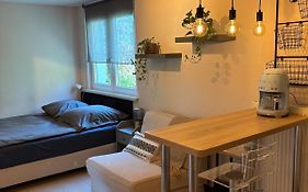 Cozy Studio Apartment